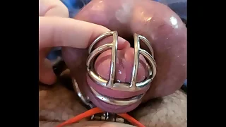 Rubbing My Prisoner Sissy Clit round Orgasm