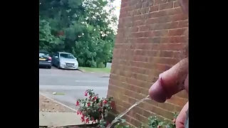 Chubby Cheerful Baffle taking a risky piss outside