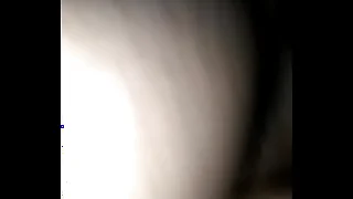 WhatsApp Integument 2016-10-26 at 21.24.36