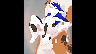 Furry Yiff Compilation Animation #1