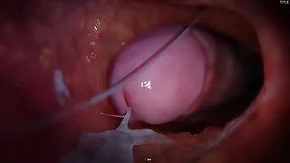 870 animation porn videos